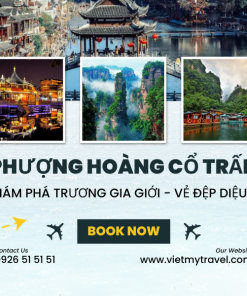 tour-phuong-hoang-co-tran