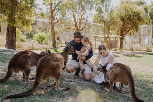 Ballarat-Wildlife-Park