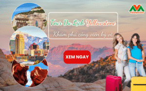 Du Lịch Yellowstone - Khám Phá Công Viên Quốc Gia Kỳ Thú