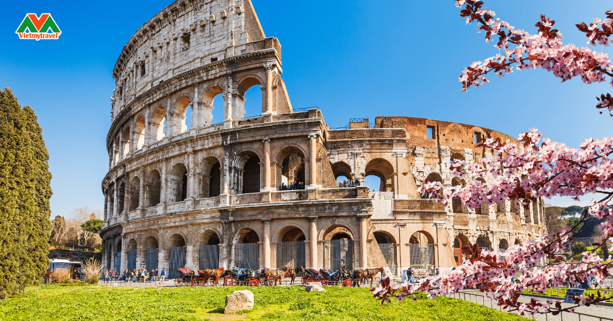 dau-truonf-la-ma-colesseum