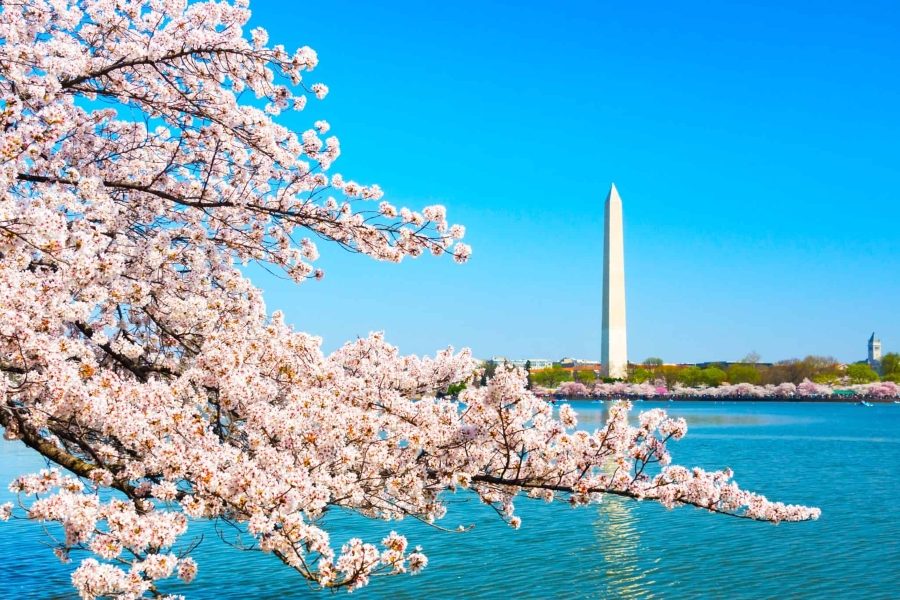 dai-tuong-niem-washington-my