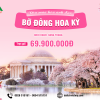 tour-my-hoa-anh-dao