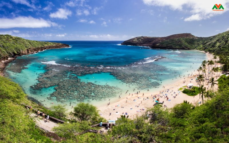 vinh-hanauma-bay-noi-tieng-hawaii