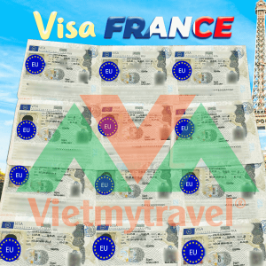 visa-phap