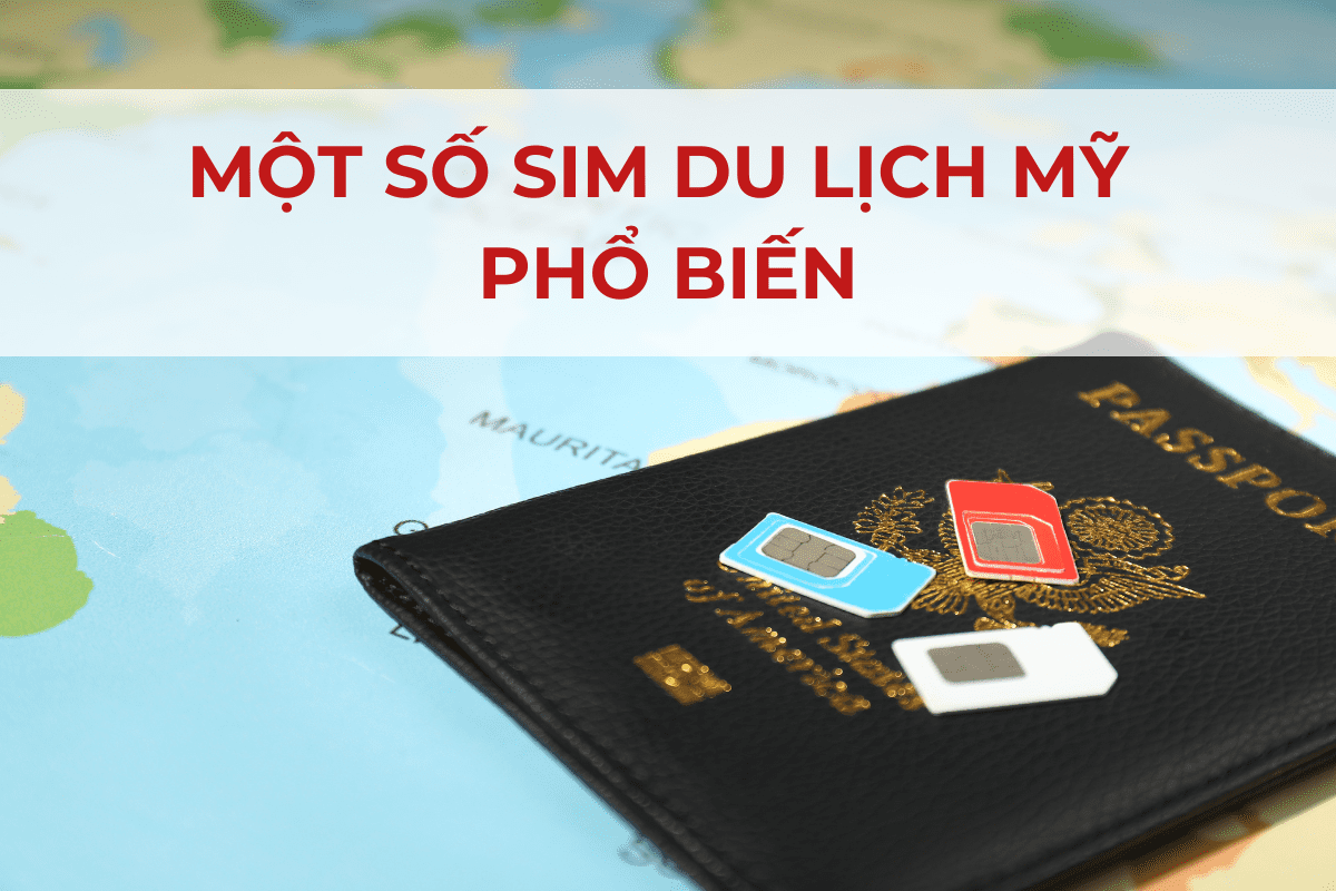 mot-so-sim-du-lich-my-pho-bien