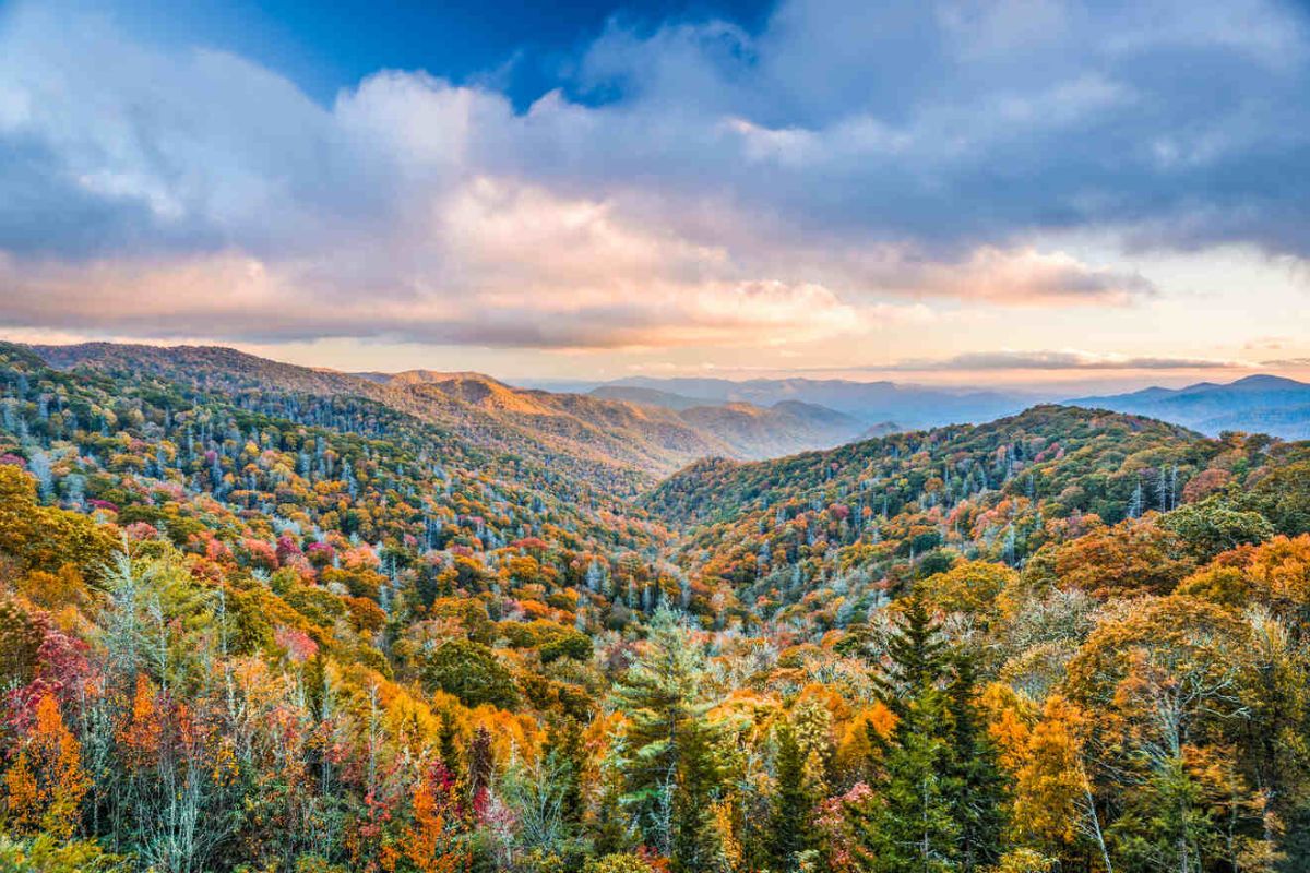 vuon-quoc-gia-great-smoky-mountains