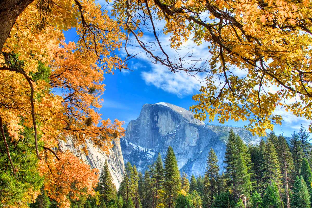 vuon-quoc-gia-yosemite