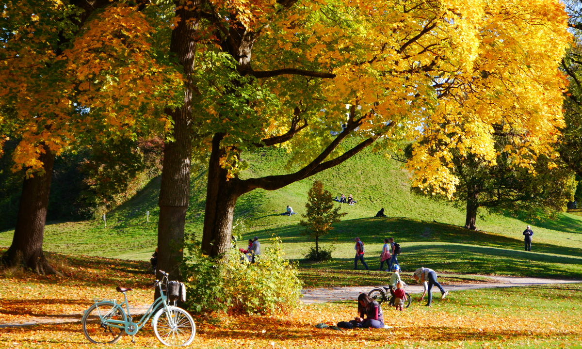cong-vien-high-park