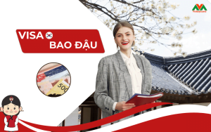 visa-han-quoc-bao-dau