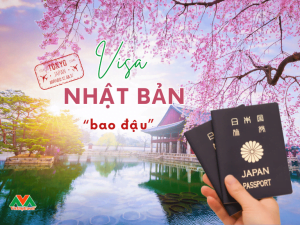 visa-nhat-ban-bao-dau-co-that-khong