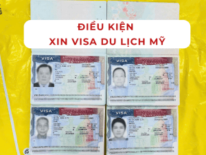 dieu-kien-xin-visa-du-lich-my-la-gi