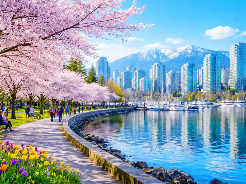 tour-canada-mua-hoa-anh-dao