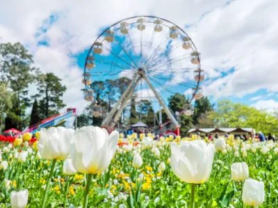 cong-vien-commonwealth-le-hoi-hoa-floriade