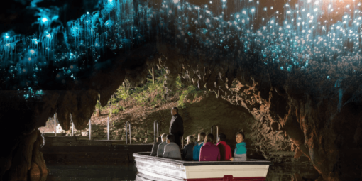 hang-waitomo-glow-worm