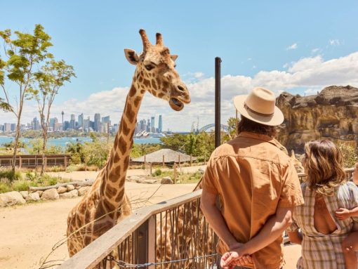 sydney-zoo