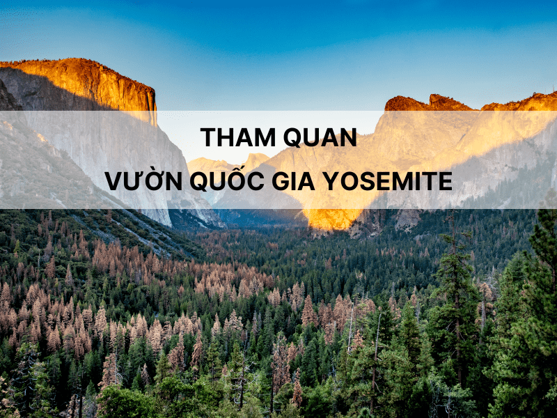 vuon-quoc-gia-yosemite