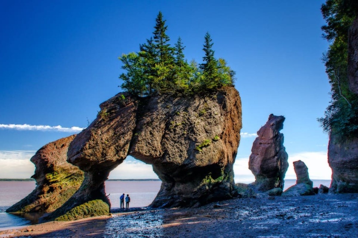 vinh-fundy
