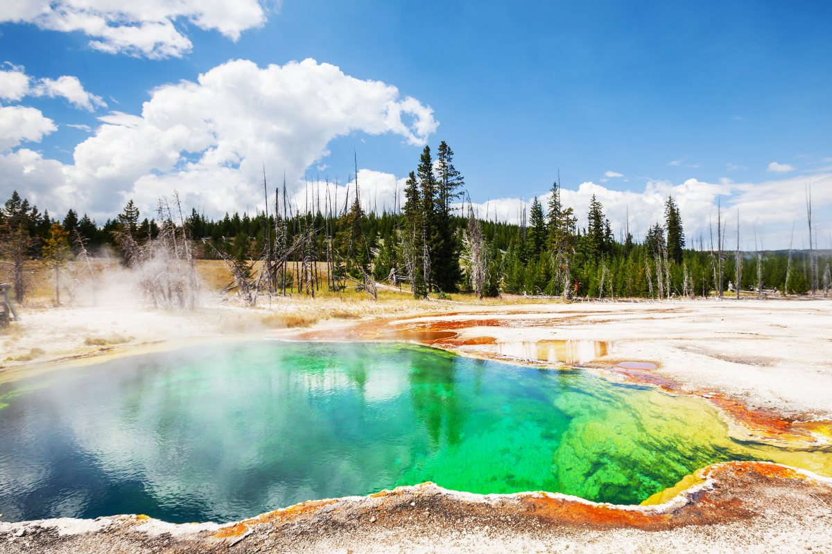 cong-vien-quoc-gia-yellowstone