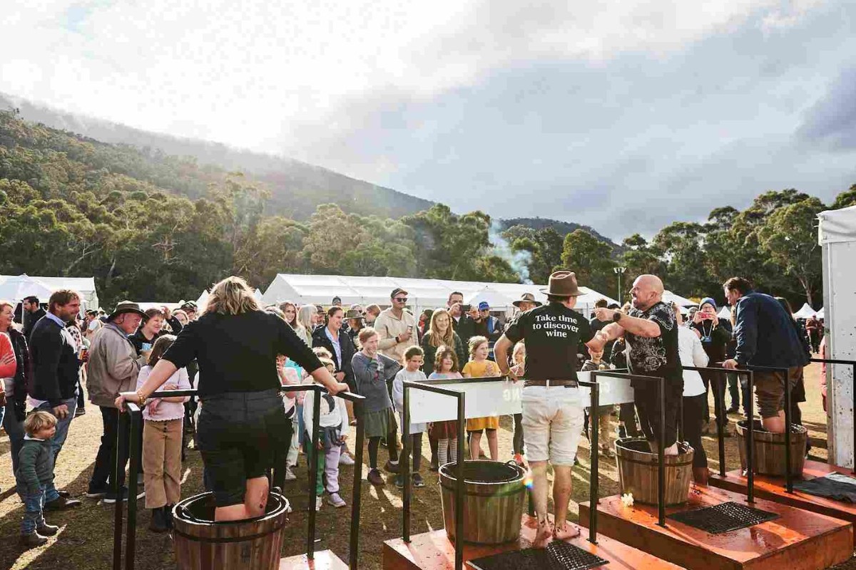 le-hoi-ruou-vang-grampians-grape-escape