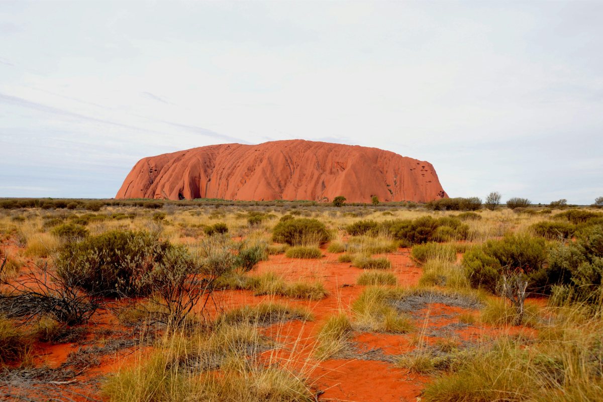 ulur-australia