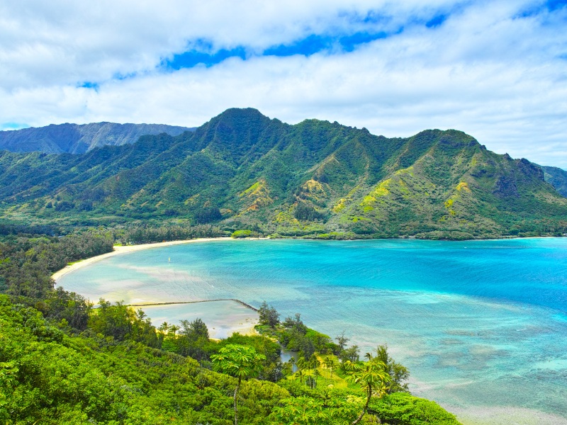 bien-hawaii