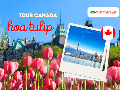 tour-du-lich-canada-hoa-tulip