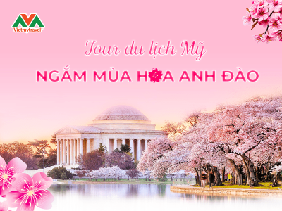 tour-my-hoa-anh-dao
