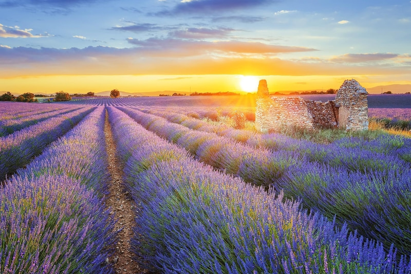 provence-phap