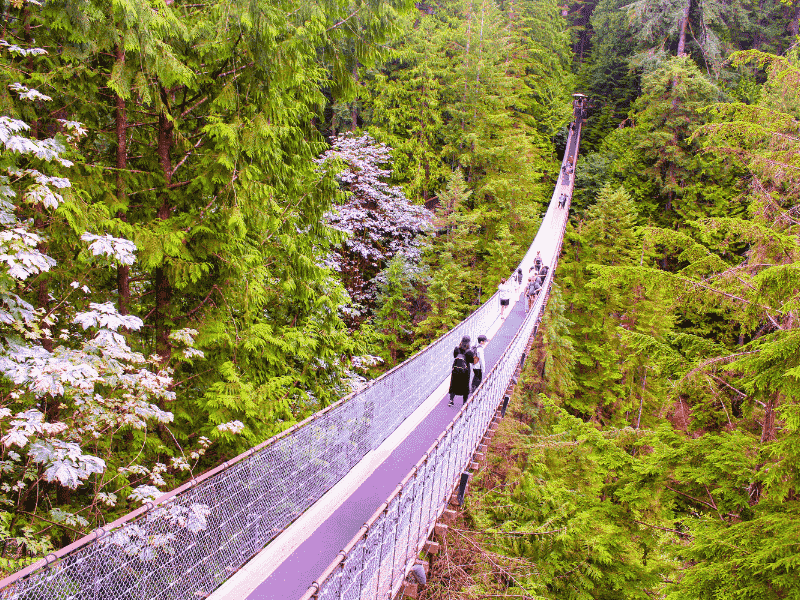 cau-treo-capilano