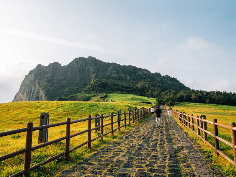 dao-jeju