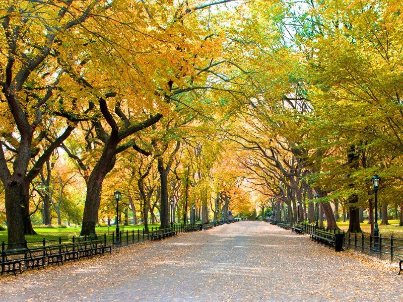 central-park