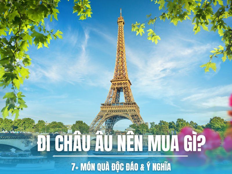 di-chau-au-nen-mua-gi