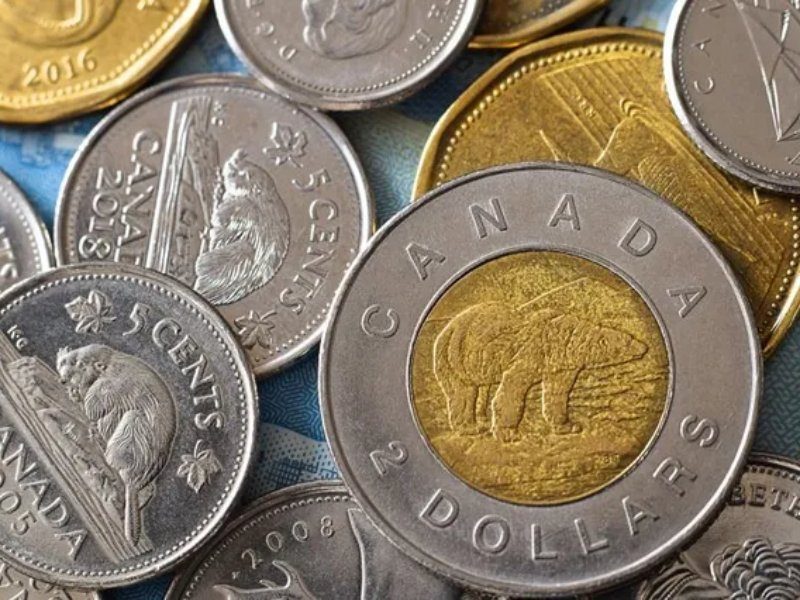 dong-xu-toonie