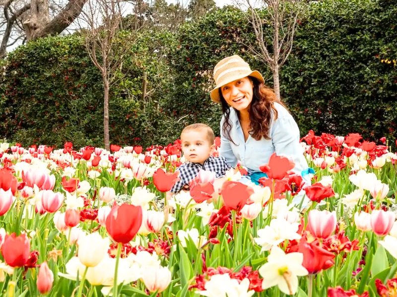 le-hoi-dallas-blooms