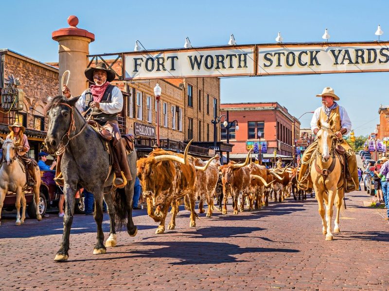 thi-tran-stockyard