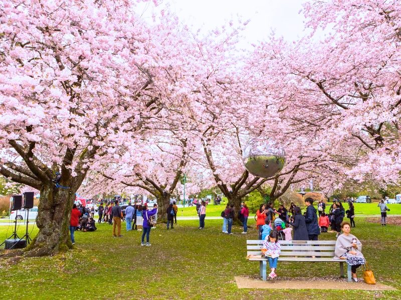 cong-vien-queen-elizabeth