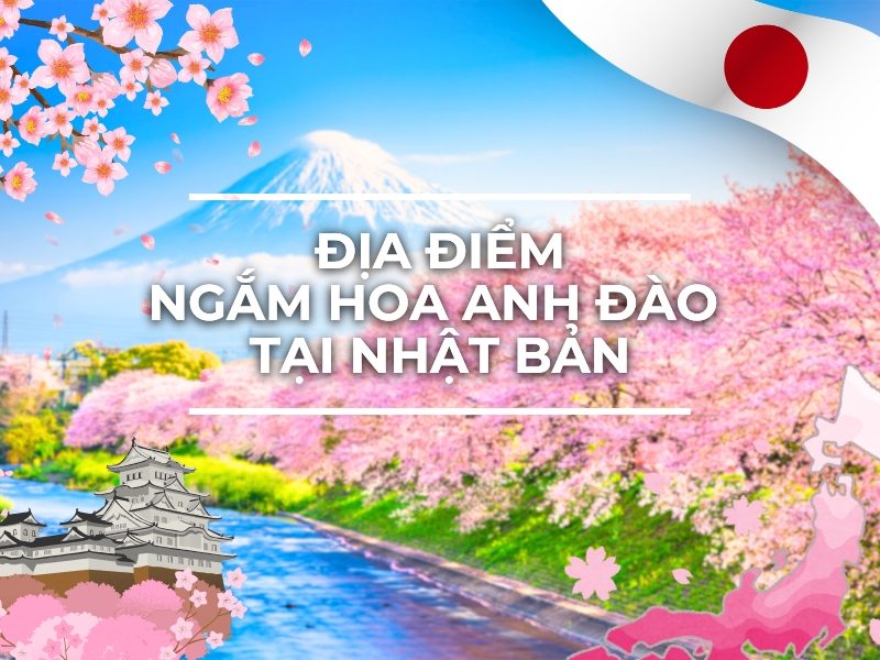 dia-diem-ngam-hoa-anh-dao-o-nhat-ban