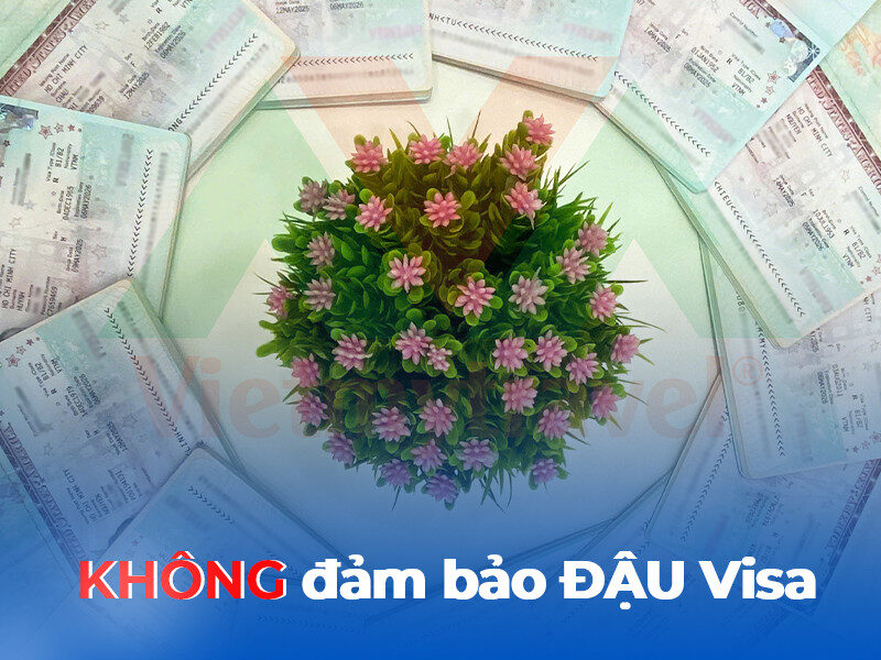 khong-dam-bao-dau-visa