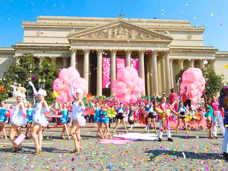 le-hoi-hoa-anh-dao-o-washington-dc