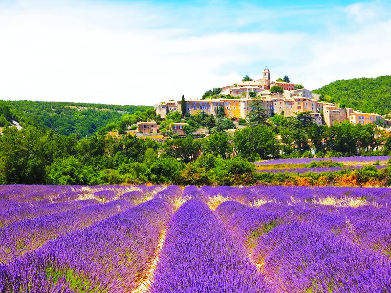 provence-phap