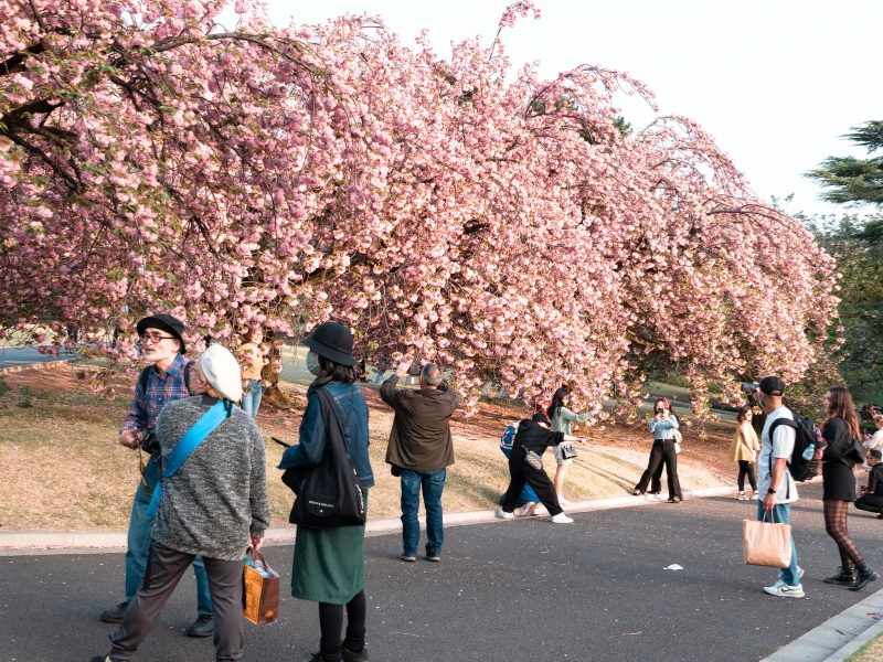 shinjuku-gyoen
