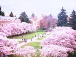 university-of-washington