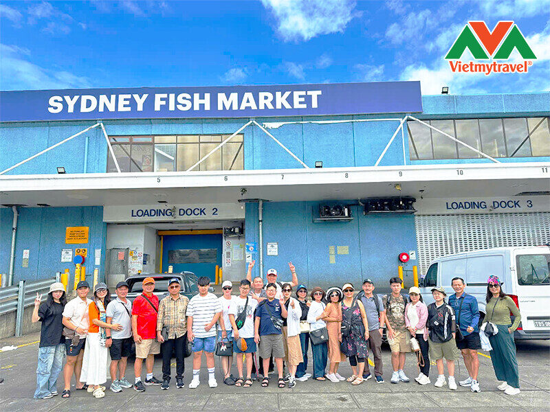 fish-market-sydney