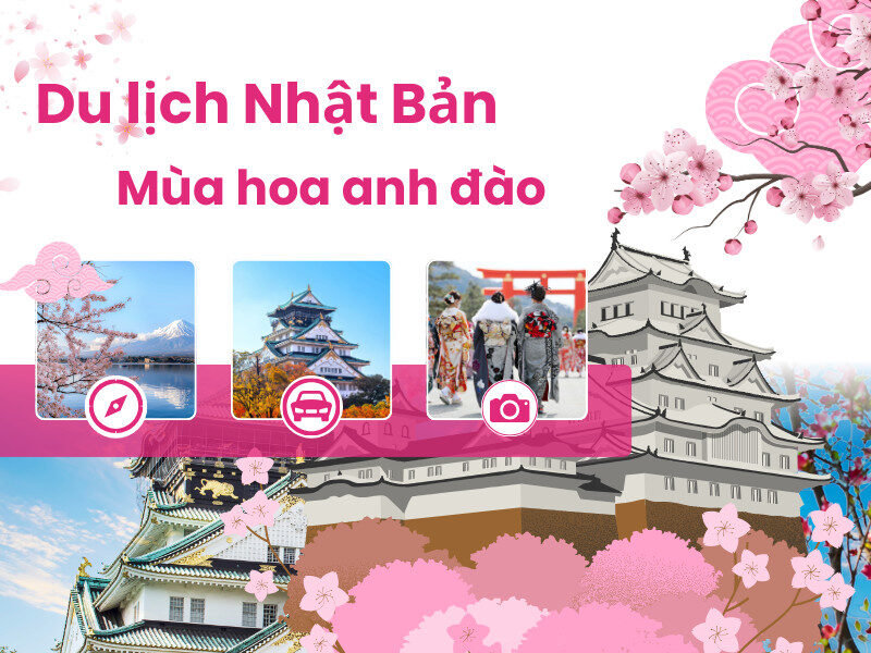 mua-hoa-anh-dao-nhat-ban