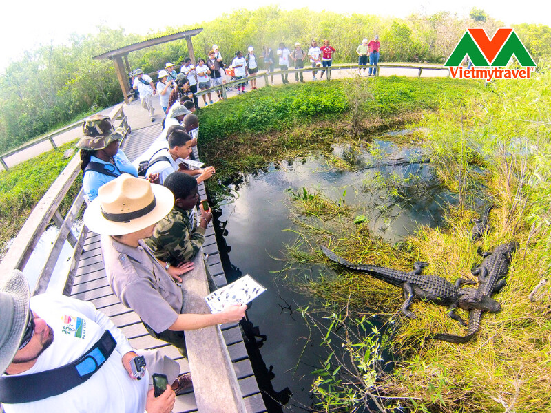 everglades-national-park