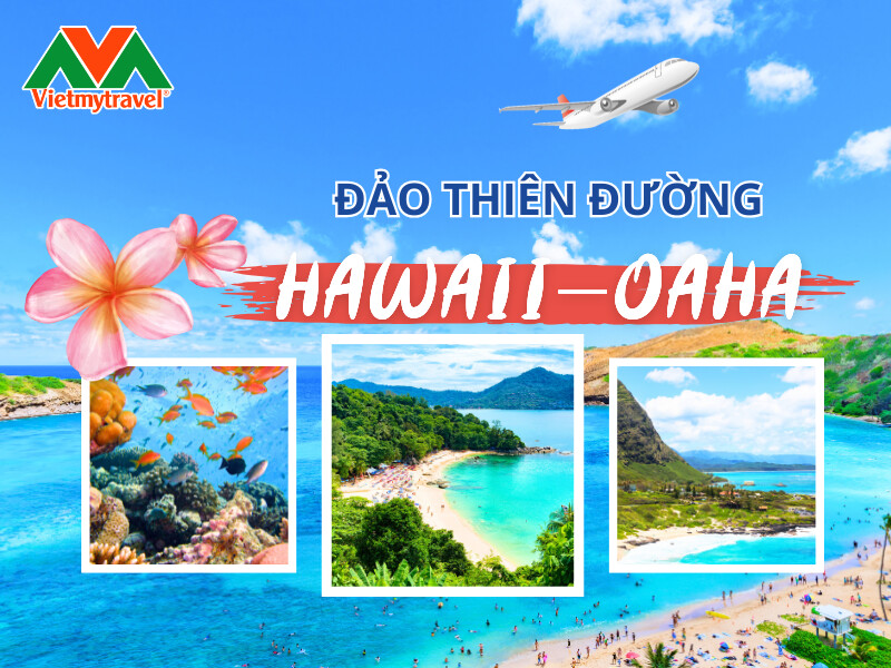 tour-hawaii-oahu