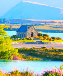 tour-uc-new-zealand