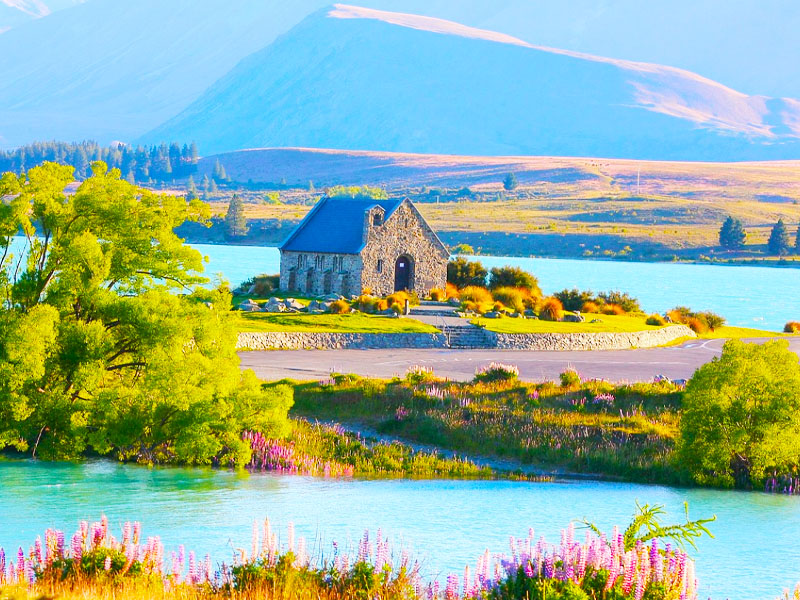 tour-uc-new-zealand